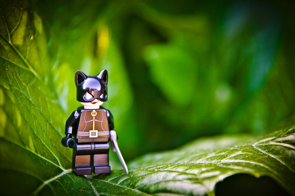 Lego Catwoman standing on an oversized leaf.