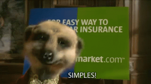 The meerkat from the Compare the Market add saying "Simples!"